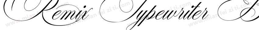 Remix Typewriter Bold W05 Rg字体转换